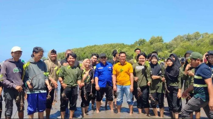 Unsulbar Tanam 1.000 Mangrove di Lingkungan Tamo