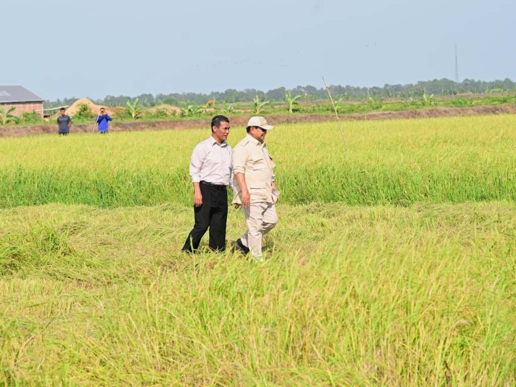 Presiden Prabowo Tinjau Panen Padi di Merauke, Dorong Swasembada Pangan Nasional