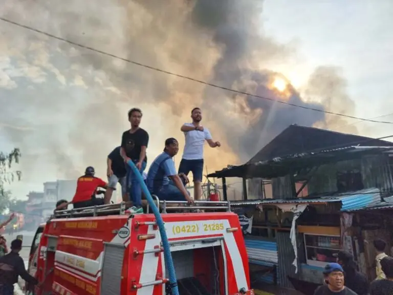 WhatsApp Image 2024-11-12 at 06.15.25